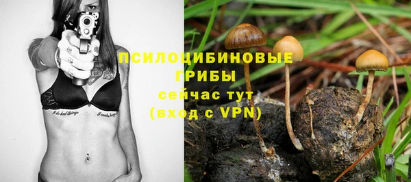 дживик Абинск