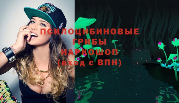 дживик Абинск