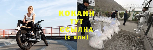 дживик Абинск
